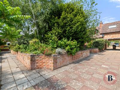 Picture 25